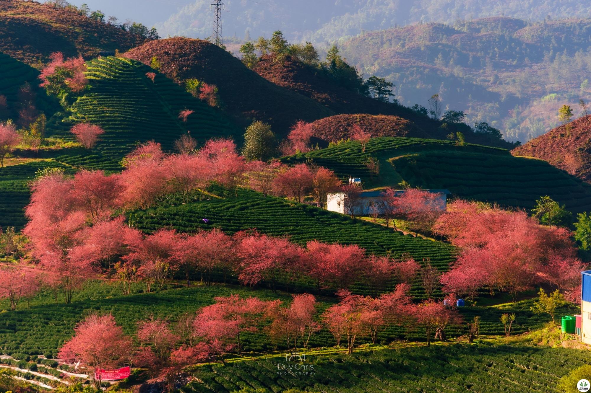 Sapa in four seasons experience