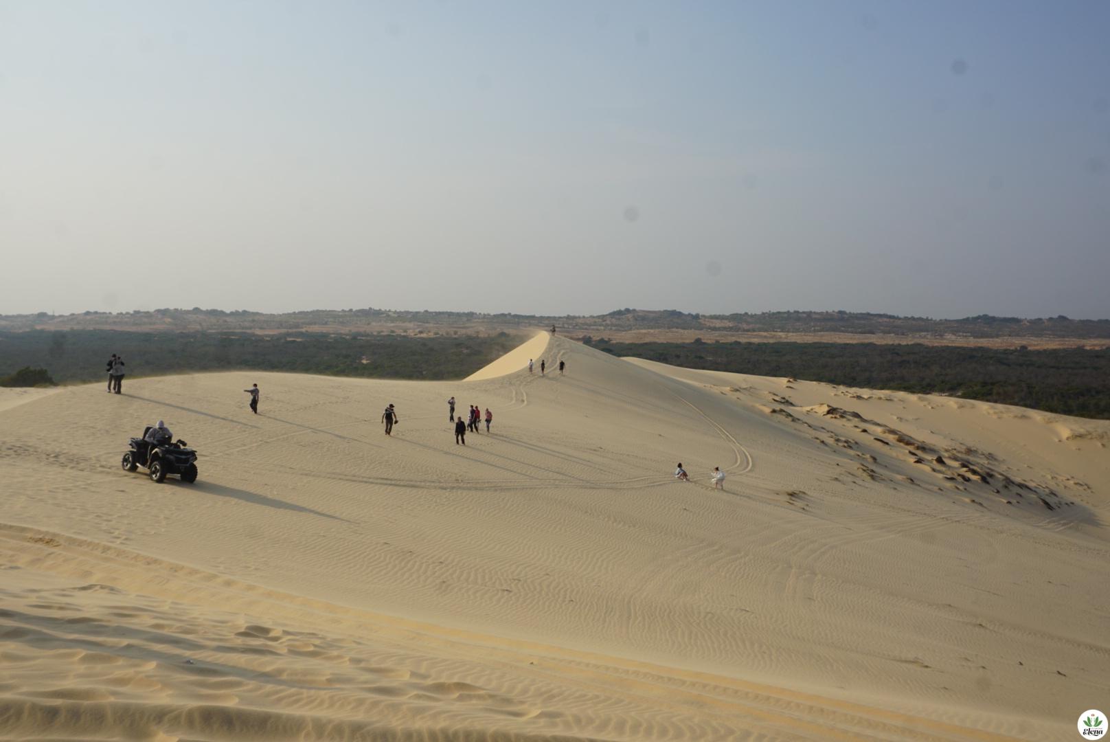 white-sand-dune