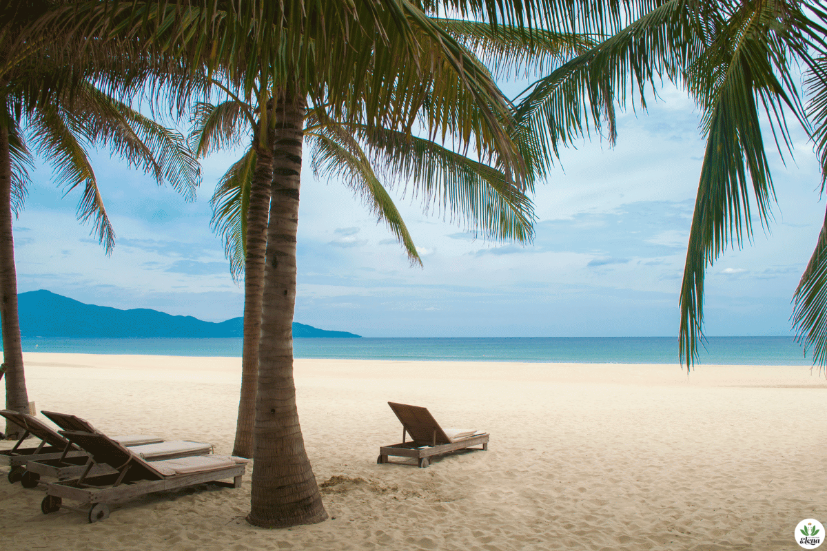 my-khe-beach
