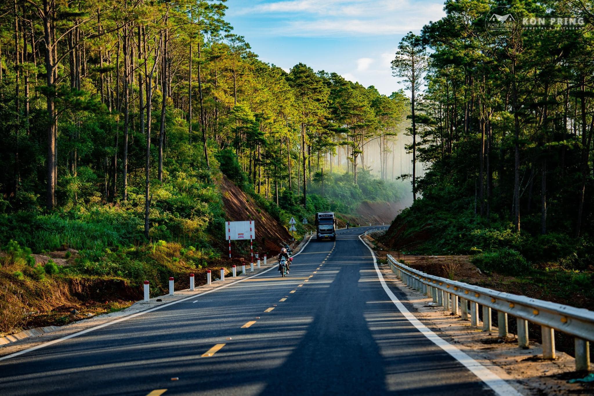 Disconnect to Reconnect: Discovering Măng Đen, Vietnam’s  Mountain Escape